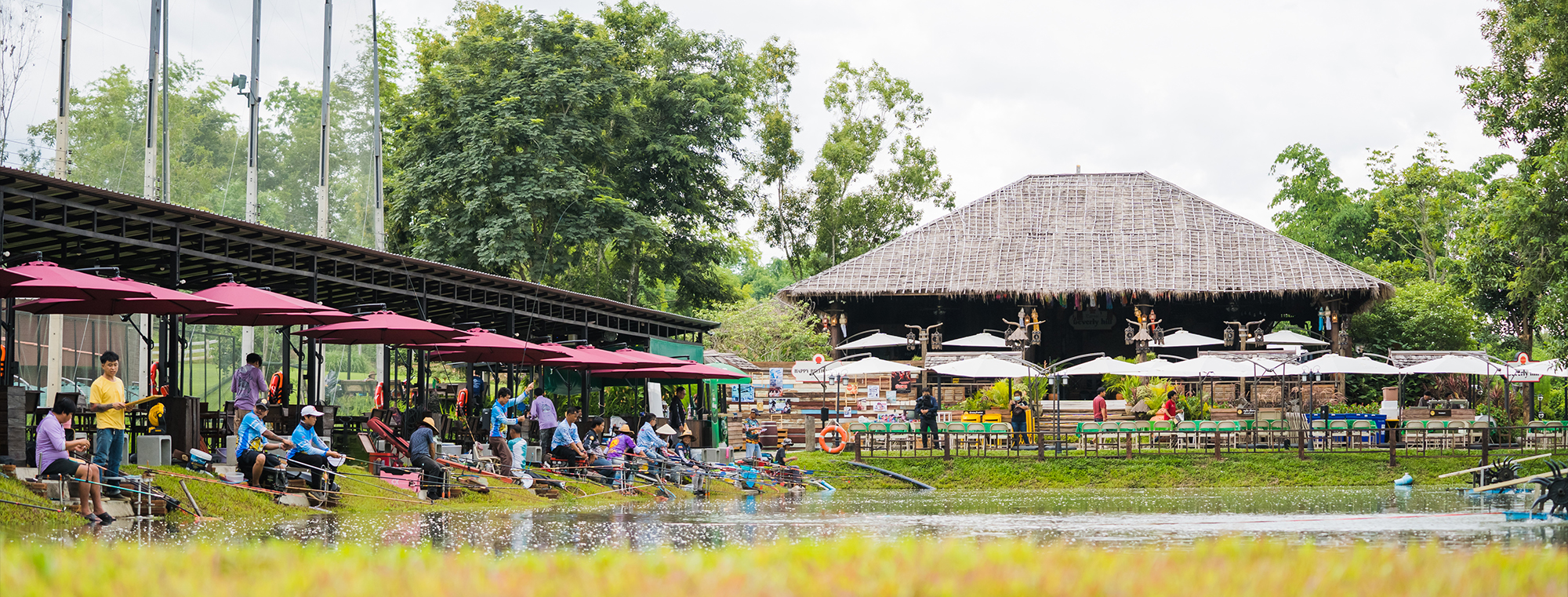 Cover บ่อปลา